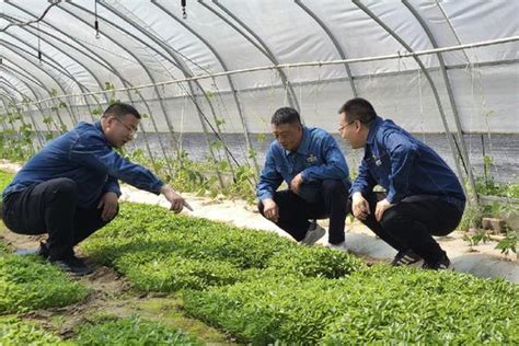 位于陇南市的甘肃康大兔业科技有限公司陇南肉兔养殖示范基地