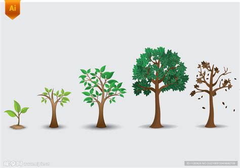 树木生长阶段插画设计图__卡通设计_广告设计_设计图库_昵图网nipic.com