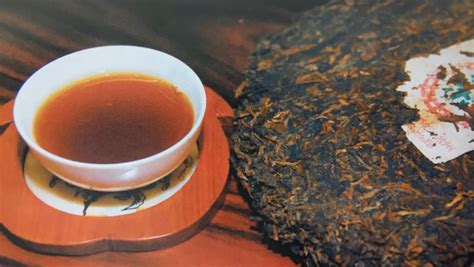 普洱茶快速发酵技术的中试完成-中国普洱批发网