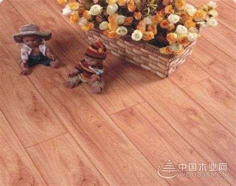 实用性地板建材 三款强化木地板推荐_地板导购_太平洋家居网