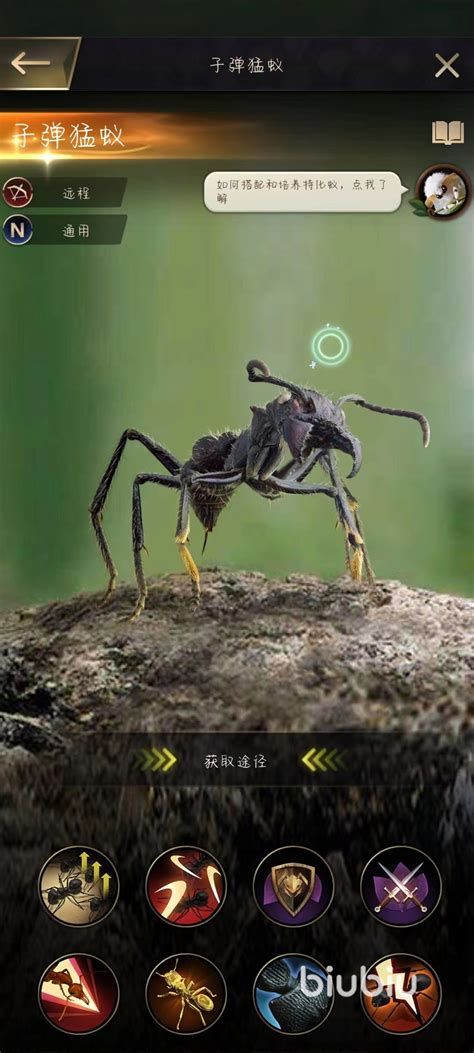 小小蚁国什么蚂蚁最厉害 小小蚁国各种特化蚁排行一览_biubiu加速器