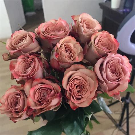 11朵玫瑰花语(送了这么多次花，你知道红玫瑰的花语与寓意？) - 【爱喜匠】