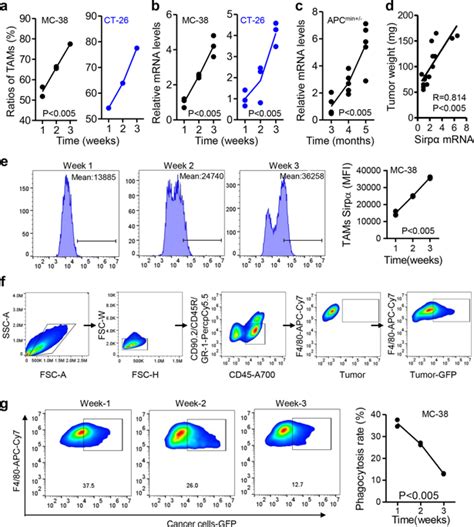 Ap-2α/Elk-1 轴调节结直肠癌中肿瘤相关巨噬细胞对 Sirpα 依赖性肿瘤的吞噬作用。,Signal Transduction and ...