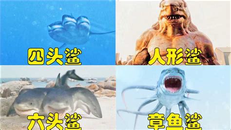 食人鲨暗影躯干怎么获得 食人鲨暗影躯干获得方法-梦幻手游网