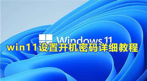 windows11开机密码怎么设置 windows11开机密码设置教程-大地系统