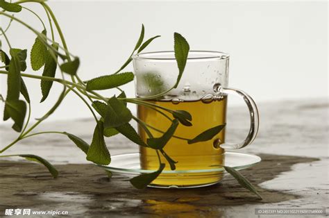 一杯清茶图片