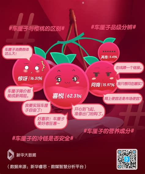 红红火火吉祥果 新年 跨年 元旦 车厘子 草莓
