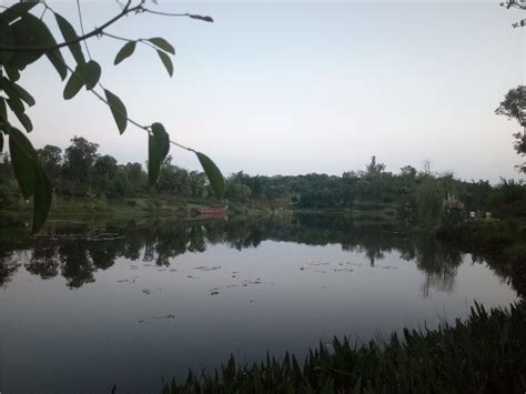 自贡卧龙湖湿地公园--自贡市图书馆