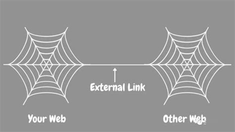 网站优化中的内部链接和外部链接？_超级蜘蛛查