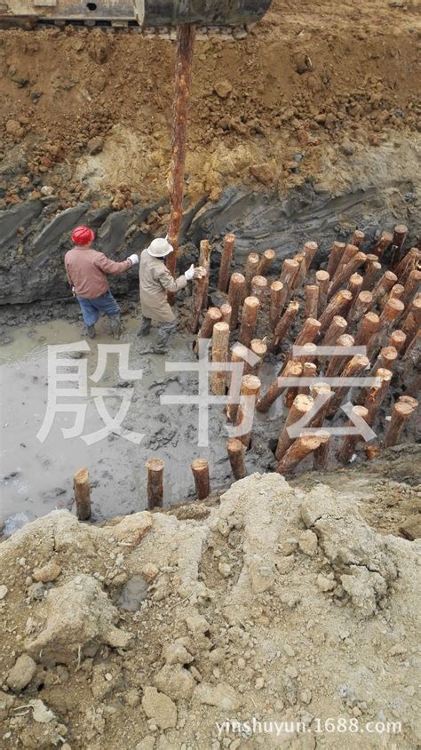 CFG桩 - CFG桩 - 广州市森固建筑工程有限公司