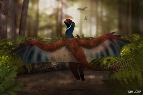 Meet Yi qi, the dinosaur with bat-like wings and | Earth Archives