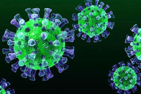 两种或源自美国的新冠病毒变异株发现 传染性增强_手机新浪网