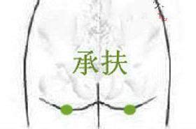 臀部穴位图图片