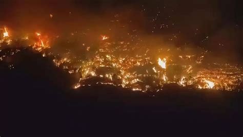 重庆森林山火，王牌之师云南森林消防“以火攻火”创造奇迹，这是什么战术？