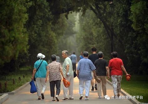 解读《中国发展报告2020：中国人口老龄化的发展趋势和政策》_老年