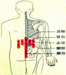 背部刮痧示意图图片