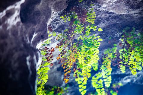 湖北宜昌有一“神秘”洞穴，1.4亿年前形成，被誉为“洞景之冠”|长生洞|洞穴|钟乳石_新浪新闻