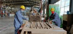 普洱林业_木业、木材行业热点_企业新闻-中国木业网