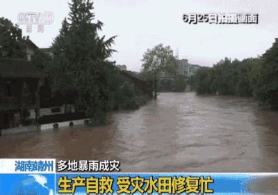 南方日报：在河源，这件事让500多名退役军人聚在了一起 - 广东省退役军人事务厅