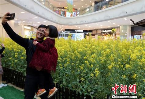 九江首家高端购物中心联盛九龙广场开始试营业|九江市|购物中心|品牌_新浪新闻