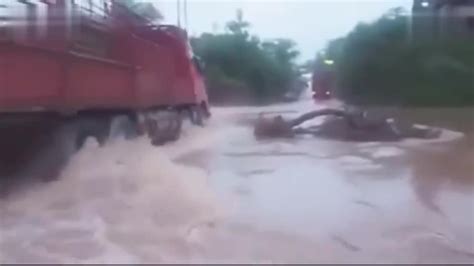印度北部持续遭遇洪灾 拖拉机司机淡定开船_国际新闻_环球网