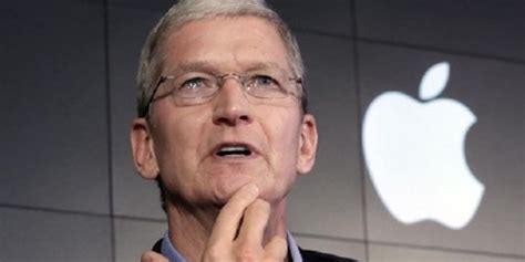 苹果CEO库克：现在到了收购创业公司的大好时机|苹果|库克_凤凰科技