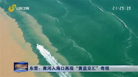 今日中国·山东篇丨【空中看百年】黄河入海口：看黄蓝交汇奇观 启动国家公园创建_齐鲁原创_山东新闻_新闻_齐鲁网