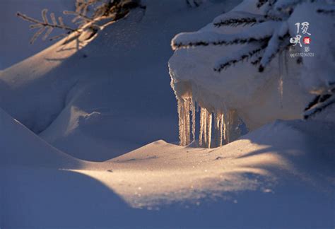 林海雪原森林冬季雪景led视频舞台背景素材
