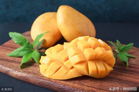 芒果到什么程度可以吃,芒果什么样子才能吃,如何断青芒可以吃了(第10页)_大山谷图库