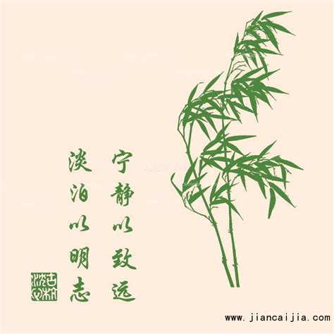 竹子的启示 竹子的象征 - 天奇生活