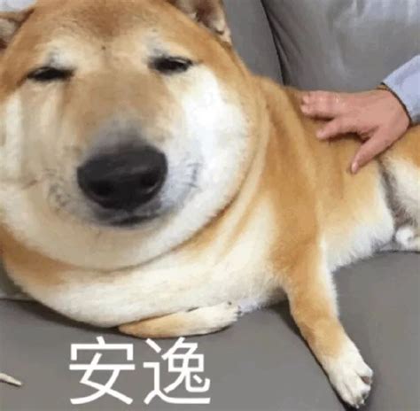 憨憨动漫表情包图片