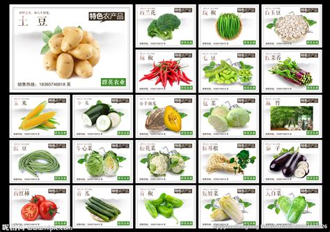 2020年中国农产品批发市场分析报告 - 知乎