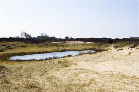 荷兰国家公园的沙地景观植物公园白色蓝色天气反射木头荒野沙丘天空高清图片下载-正版图片321935920-摄图网