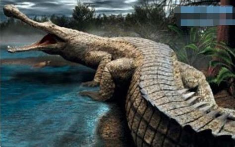 世界上十种最大鳄鱼:第一名体重超过4900斤也是最凶猛的鳄鱼_搜狗指南