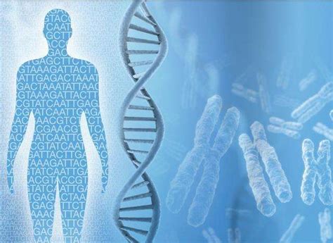 Science新年发文：基因疗法时代即将到来，挑战不容忽视 – 测序中国
