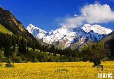 新疆伊犁自驾游，有哪些风景绝美的路线可以推荐？ - 知乎