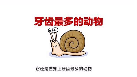 蜗牛有多少颗牙齿？蜗牛吃什么食物 - 农敢网