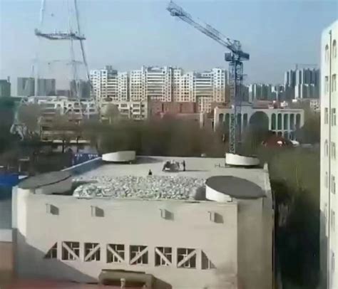 祸起屋顶堆放珍珠岩，齐齐哈尔一中学体育馆坍塌致11人遇难_南方网