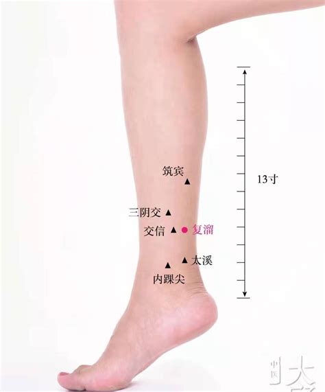肾的经络位置图图片