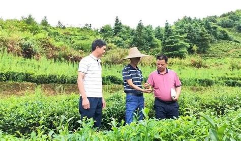 适合农村办厂的项目（几个适合农村的小投资办厂项目）_斜杠青年工作室