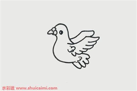 鸽子儿童画怎么画 鸽子简笔画画法 - 水彩迷