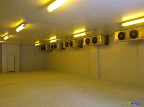 950平冷冻库造价及图片 建造——12年专业冷库安装施工单位-开冉制冷