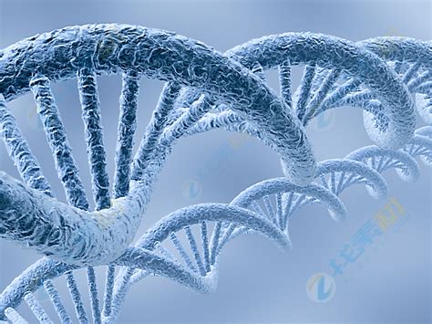 迄今最完整的人类基因组图谱！Science特刊6篇长文系统梳理T2T参考基因组研究成果__凤凰网
