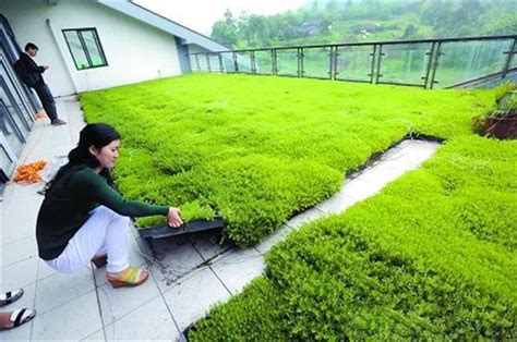 屋顶绿化设计中需要考虑哪些问题-深圳易绿谷屋顶绿化有限公司