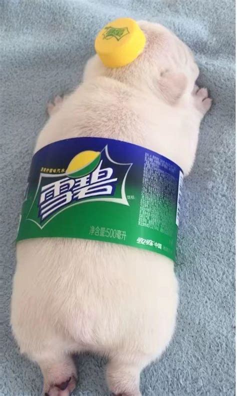 非主流无厘头头像