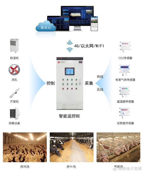 物联网禽畜养殖智能系统-南京及时雨农业科技有限公司