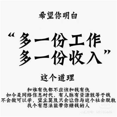 新主播去哪个平台好_新主播怎么吸引游客 - 随意云