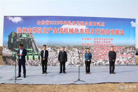 滨州市棉花生产全程机械化农机农艺融合观摩会在杨柳雪召开|棉花|农机|农艺_新浪新闻