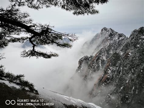 美丽黄山：一样的冬雪 不一样的美(图)_旅游中国_中国网_中国旅游外宣第一品牌