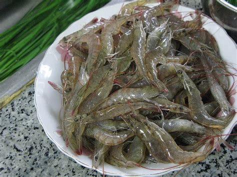 河虾的做法,河虾的适宜人群和禁忌,河虾的营养价值,河虾的食用效果_齐家网
